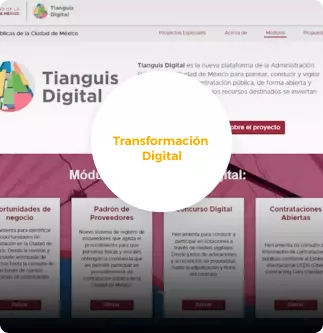 ganador-transformaci195179n